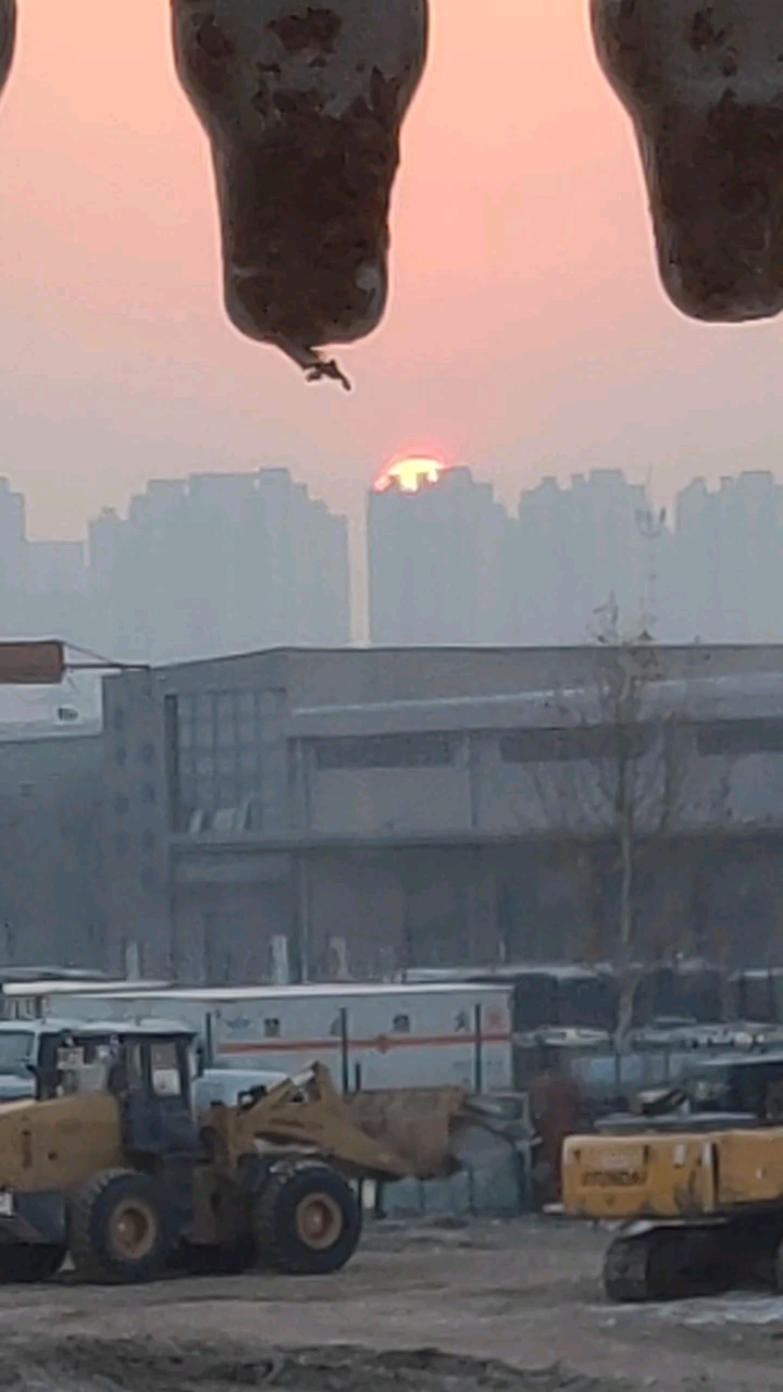 暖阳出来了