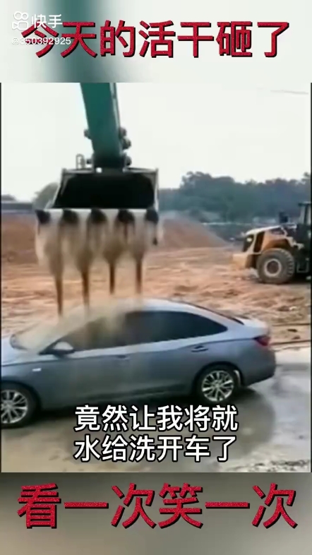 每日發(fā)帖