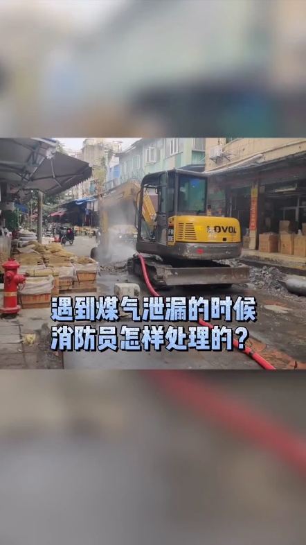 每日一帖