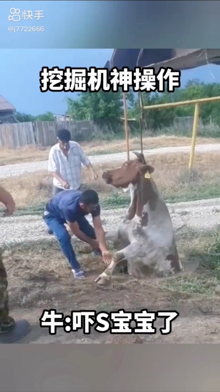 每日發(fā)帖