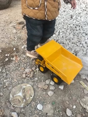 感谢铁甲大哥