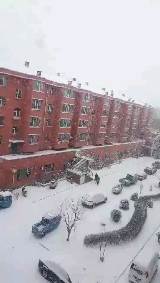 這是雪么？