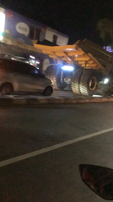 你们见过么