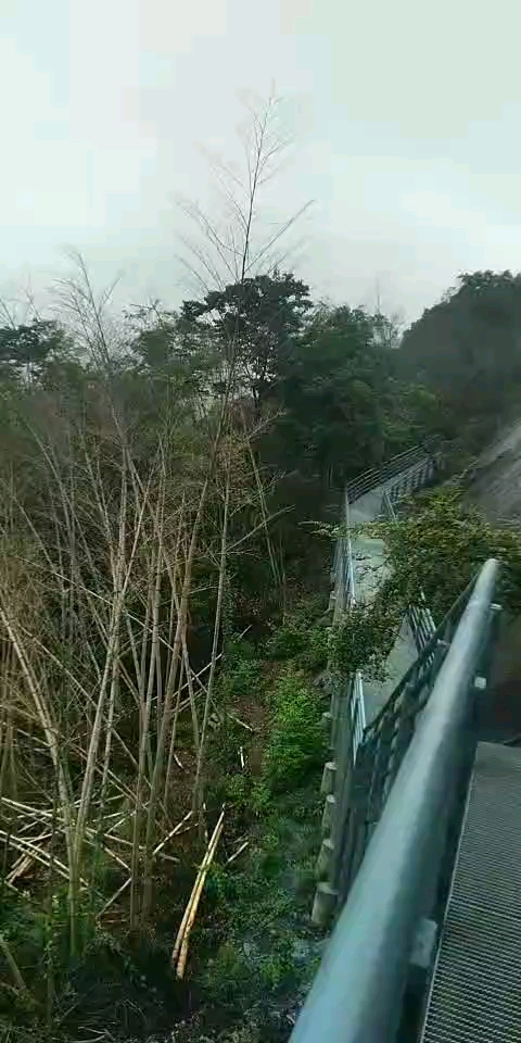 下雨就去旅行，打卡琅琊榜梅岭主峰！狮子峰