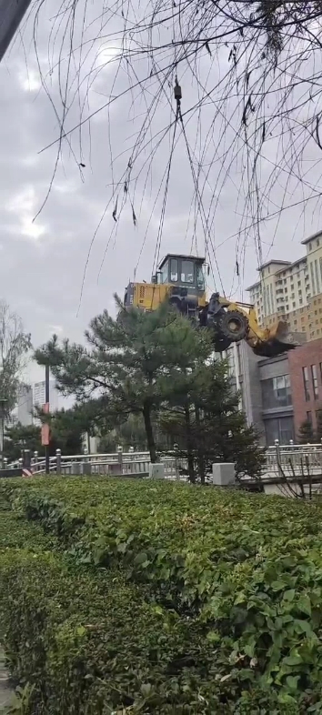 猜猜这是干啥去了
