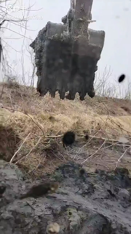 毋庸置疑