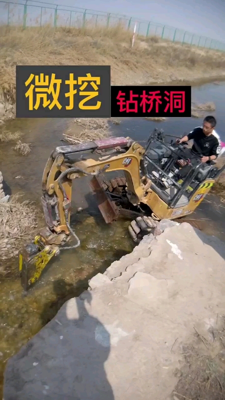 完犊子了