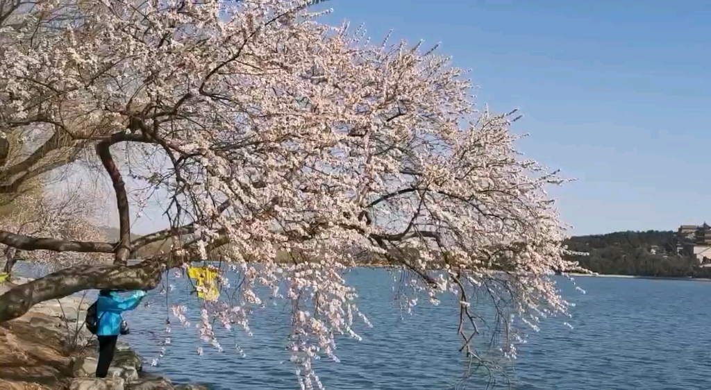 春暖三月