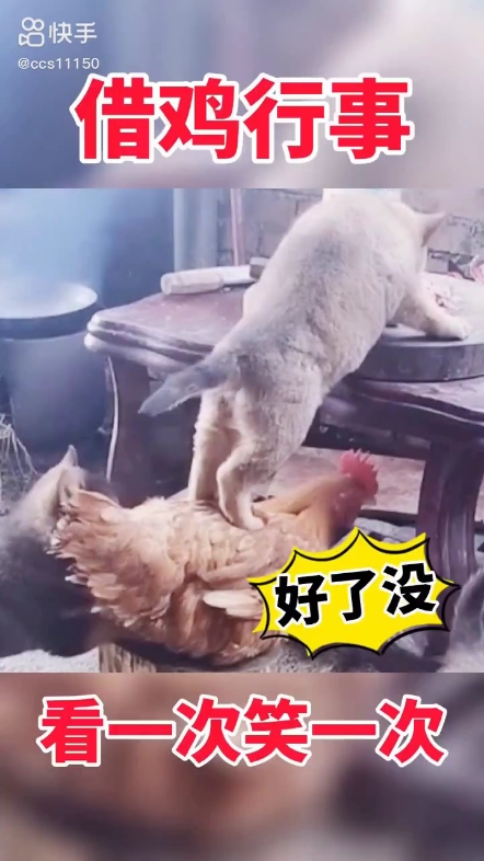 每日一帖