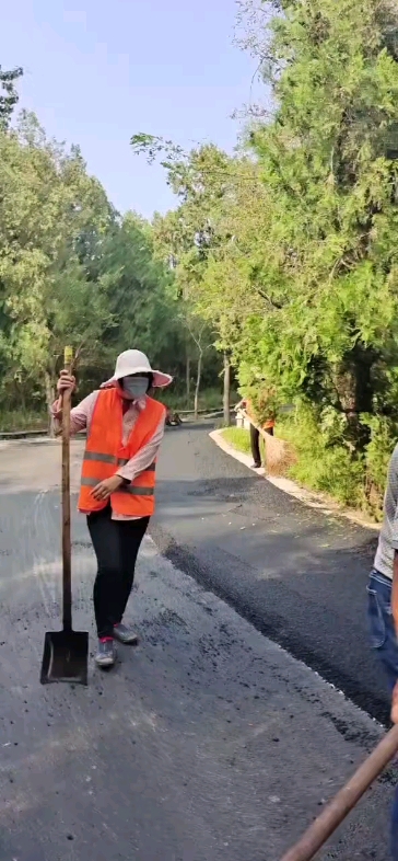 园区道路