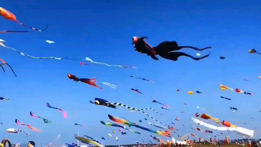 翱翔籃天
