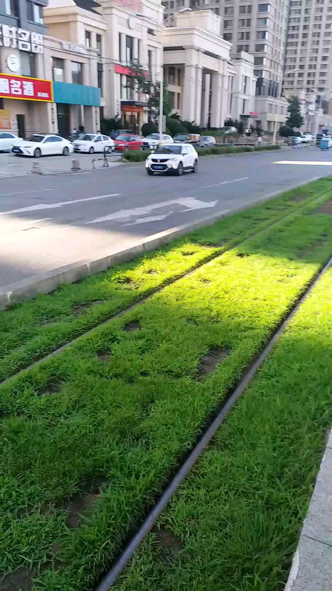 沈陽輕軌