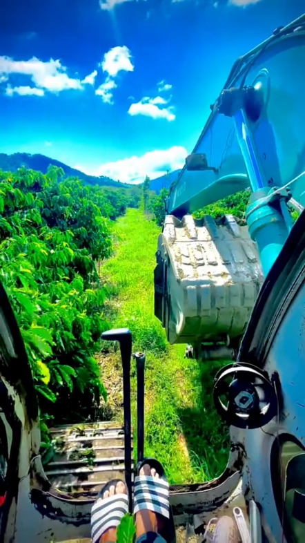 夏天风景不错