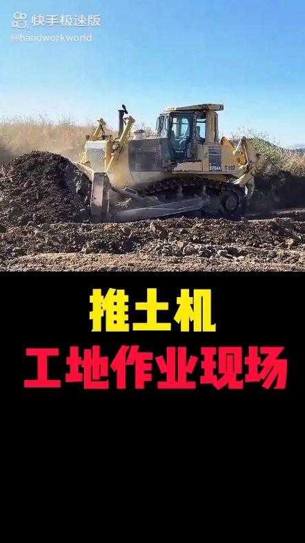 每日发帖