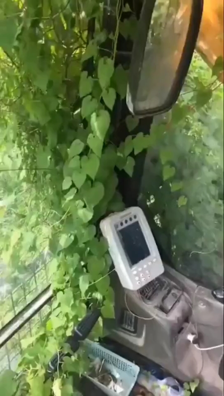 难干啊