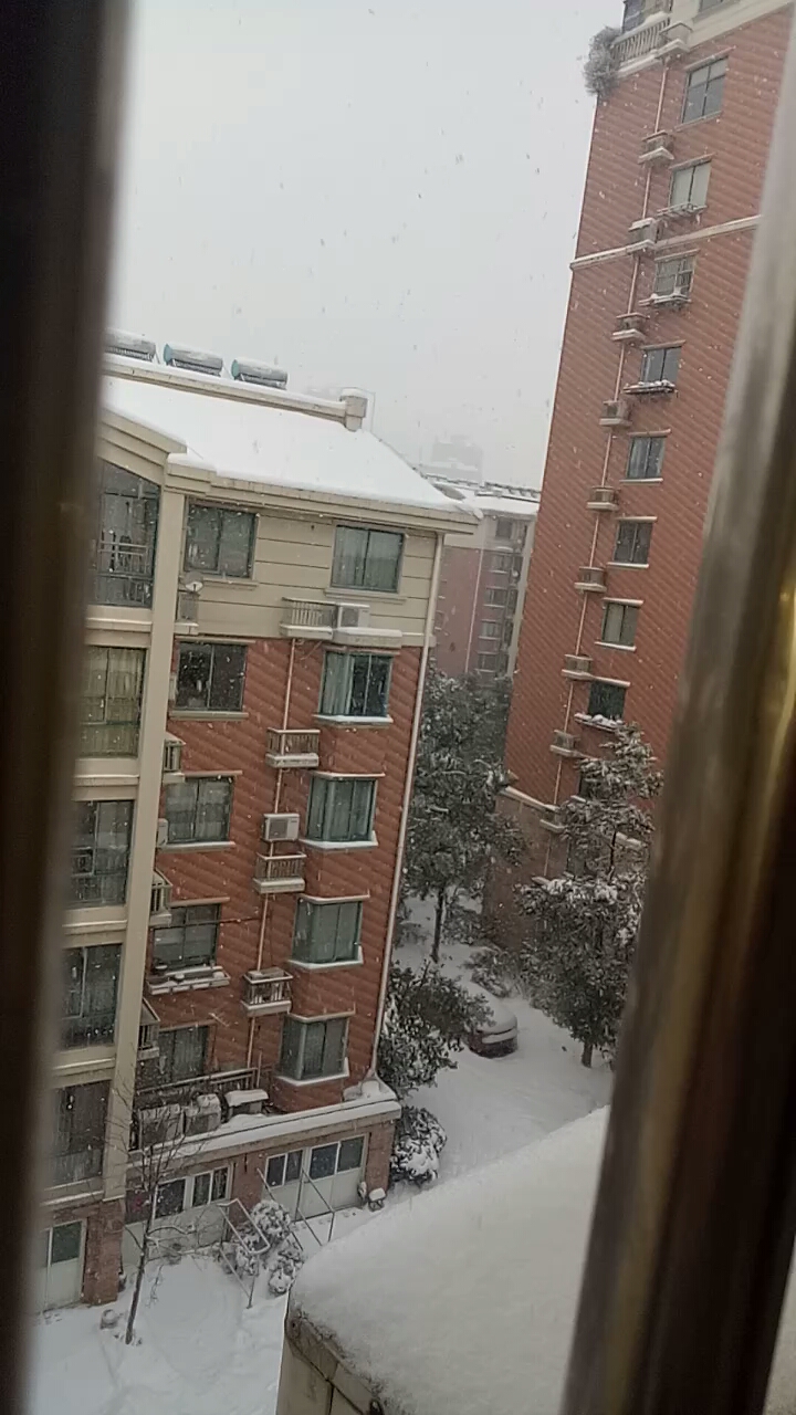 大雪還在一直的下~