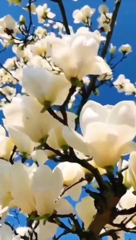 早上好