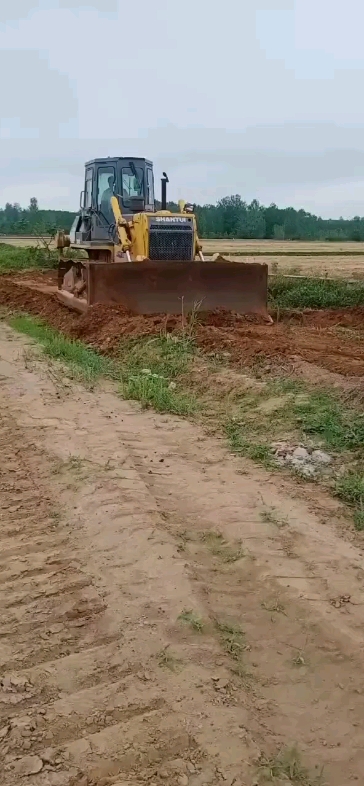 早上好