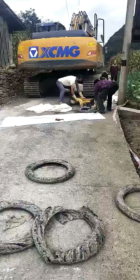 這什么情況，真里假里，太慘了吧