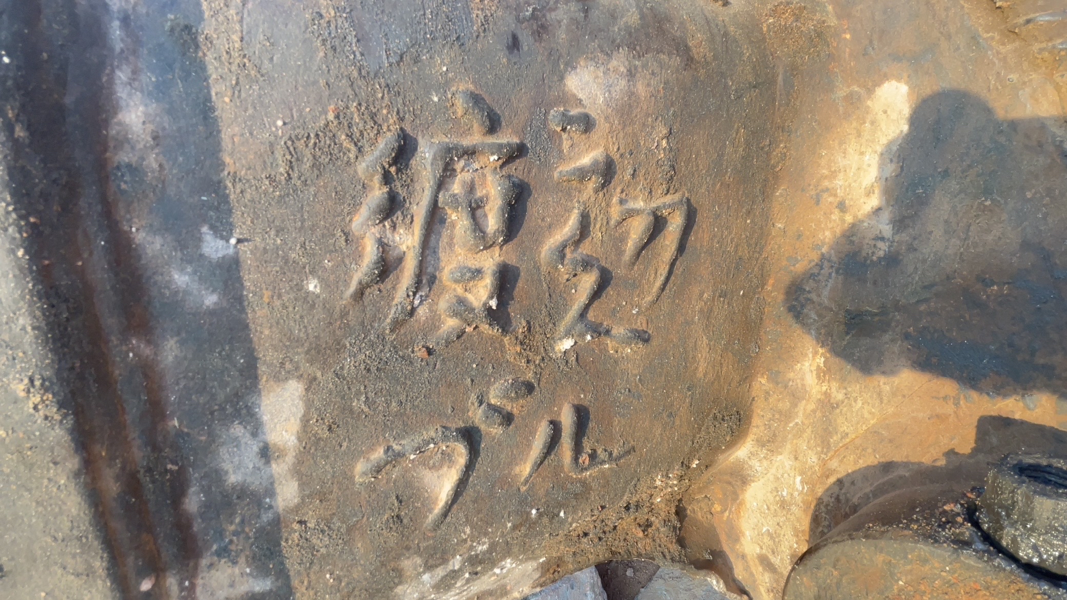 日本的渡边君来咯