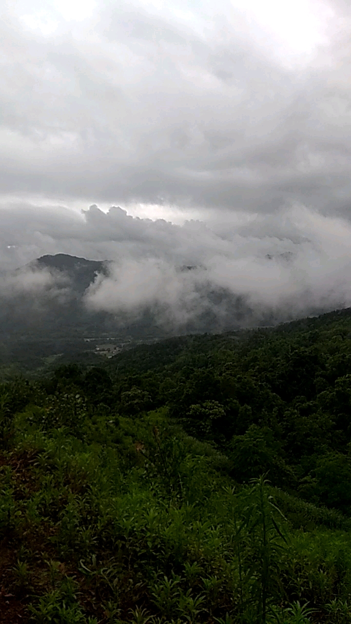 下雨就出去旅行