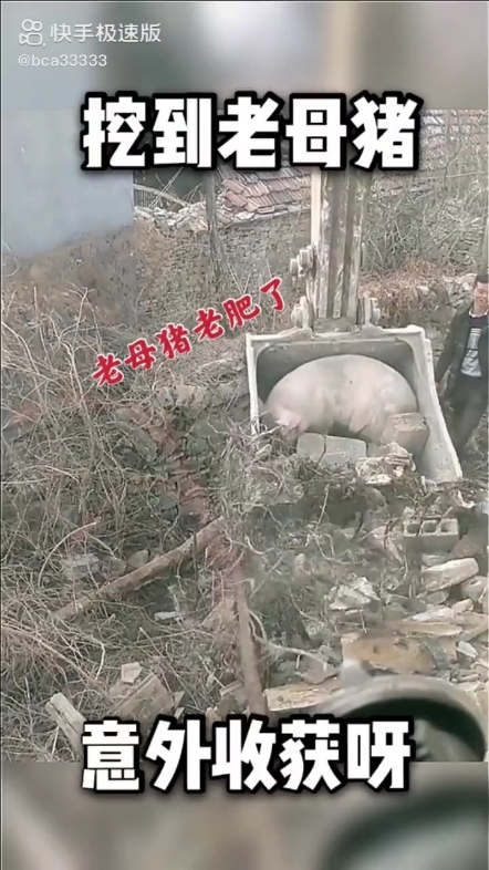 每日發(fā)帖