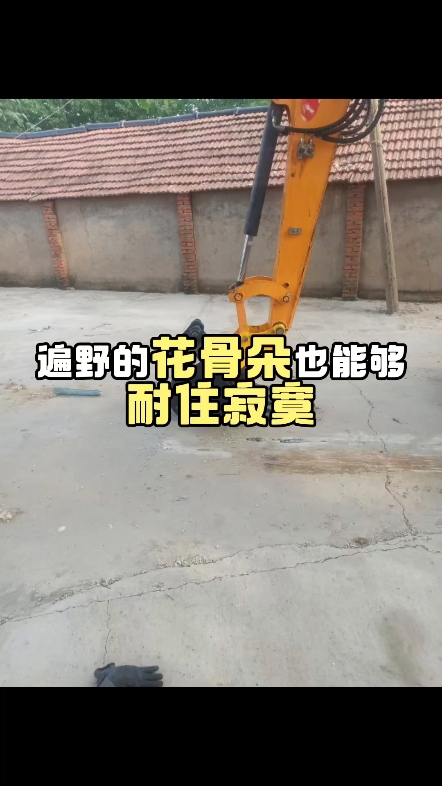 挖掘机配件