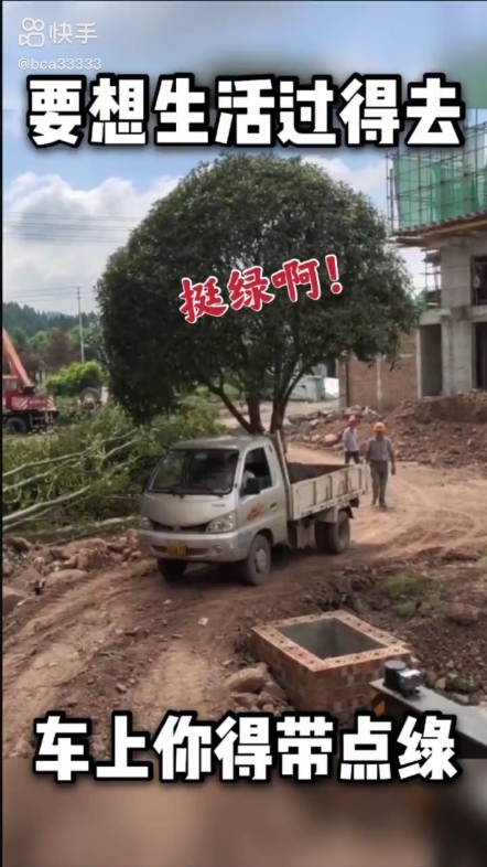 每日發(fā)帖