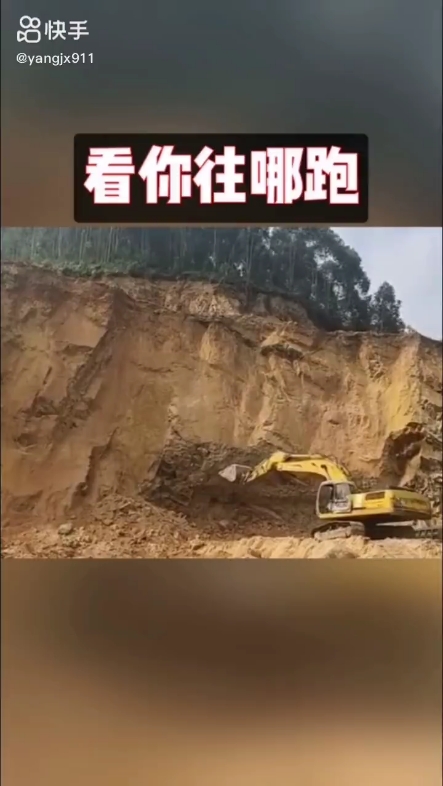 每日發(fā)帖