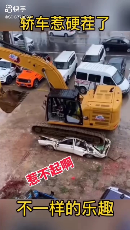 每日一帖