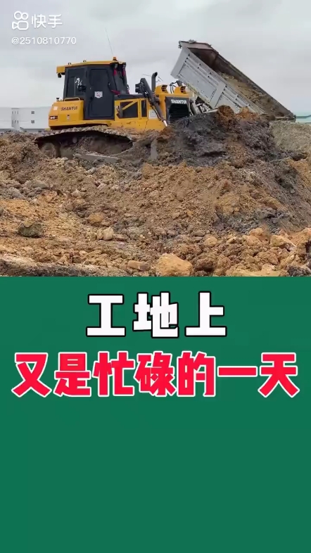 每日发帖
