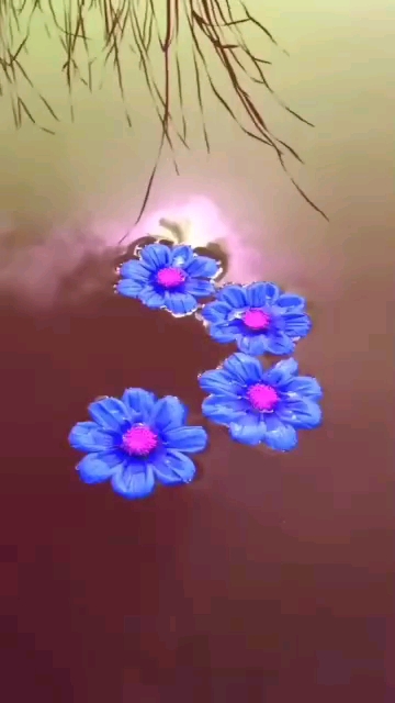 了了幾朵
