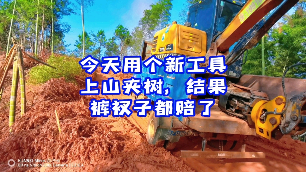 今天用个新工具，来山上夹木头，结果赚的还没挖斗多。