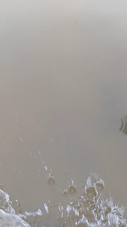 明天又要下雨