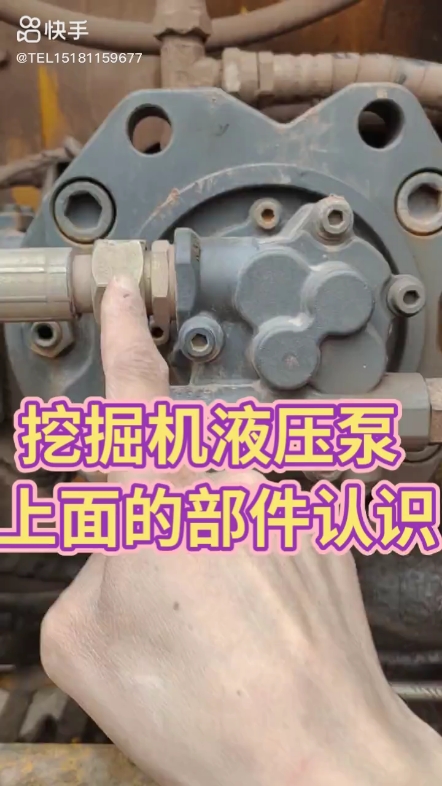 每日一帖