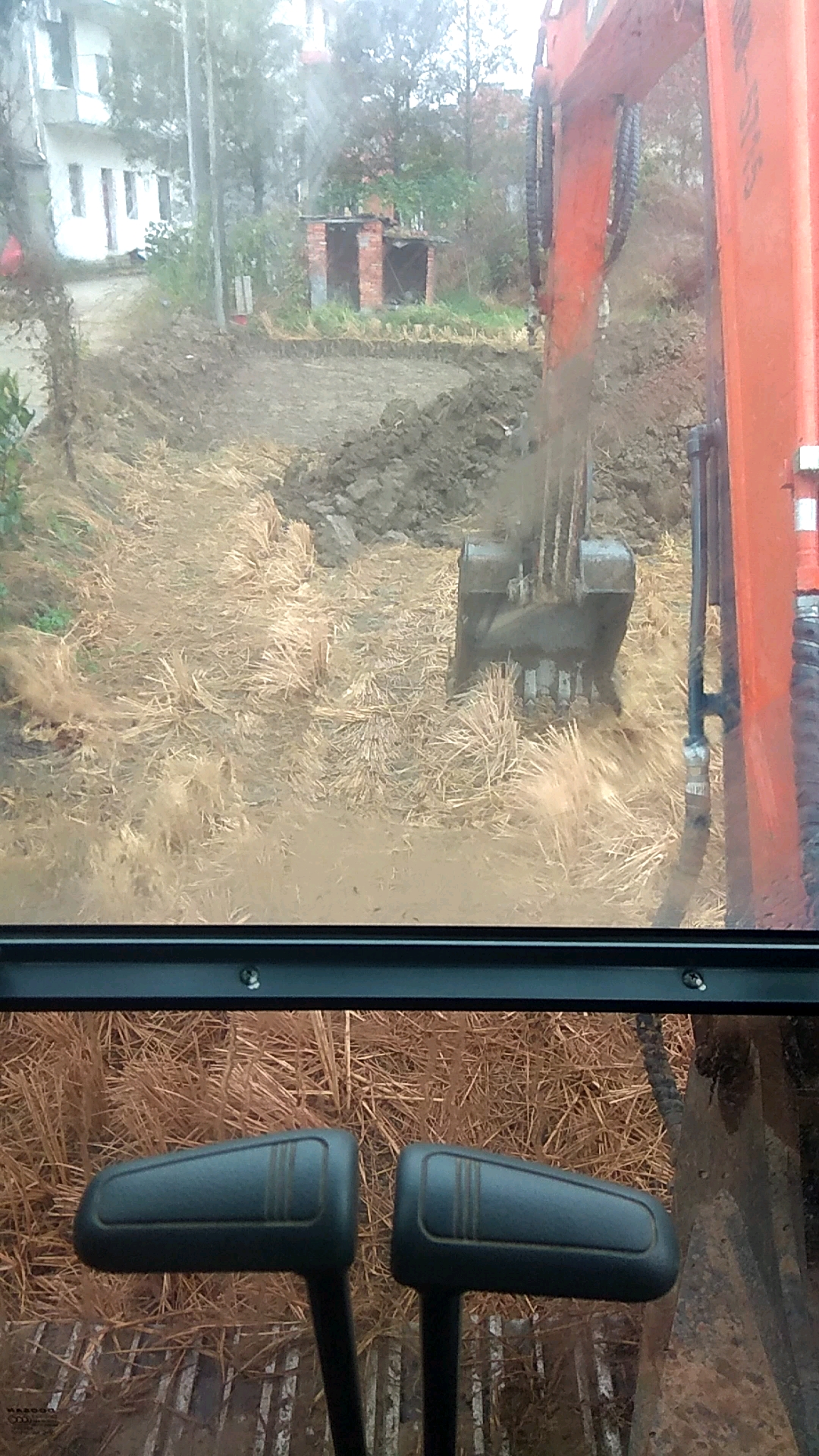 久旱逢甘露！冬雨貴如油！2019年下半年的第一場雨！