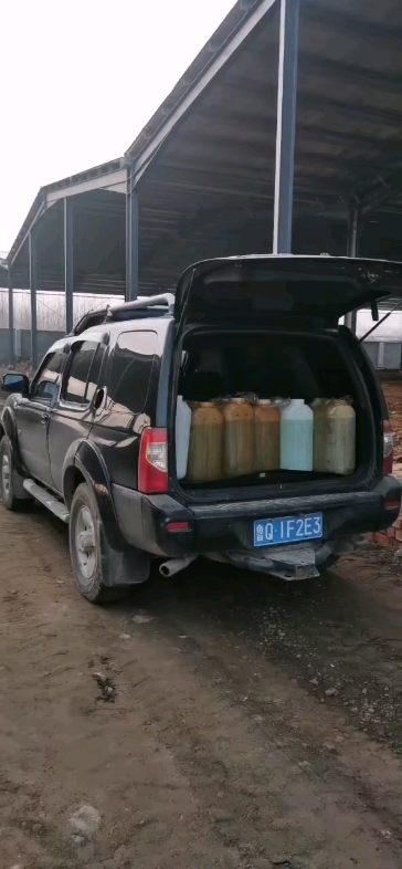 早上好