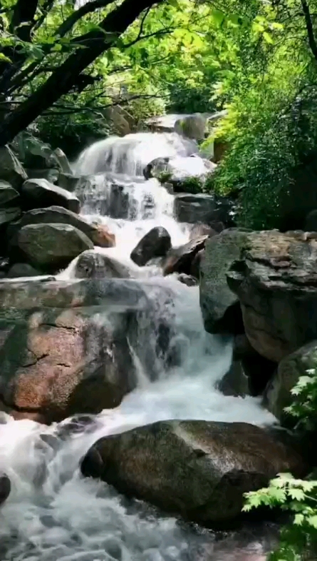 春暖花開