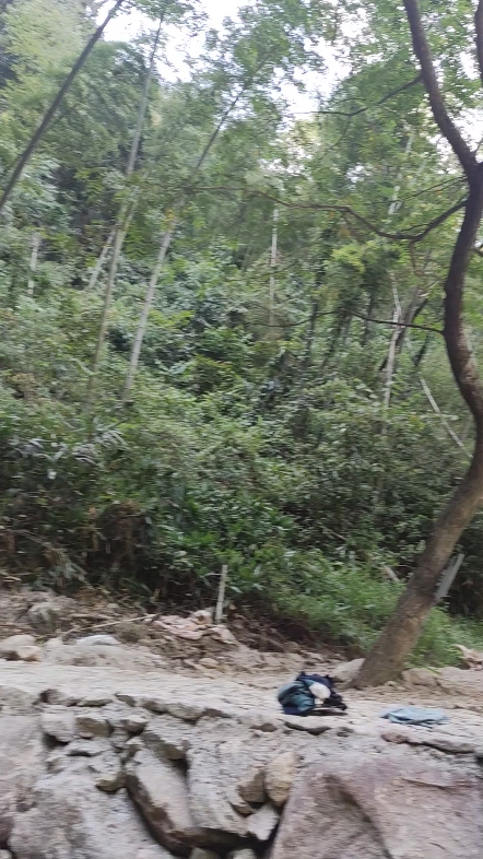 太热了！大家一起去山里游泳去
