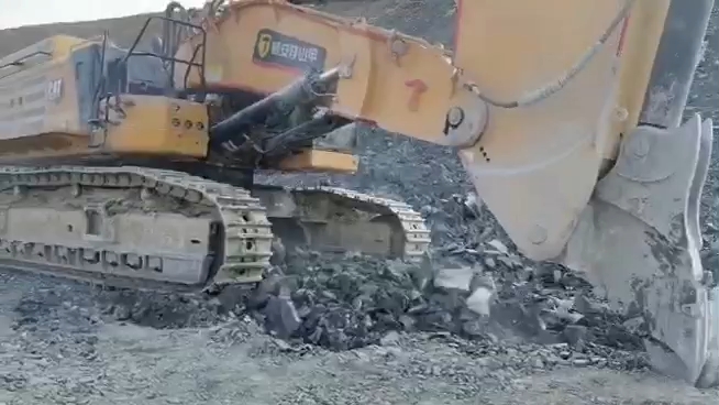 金刚臂