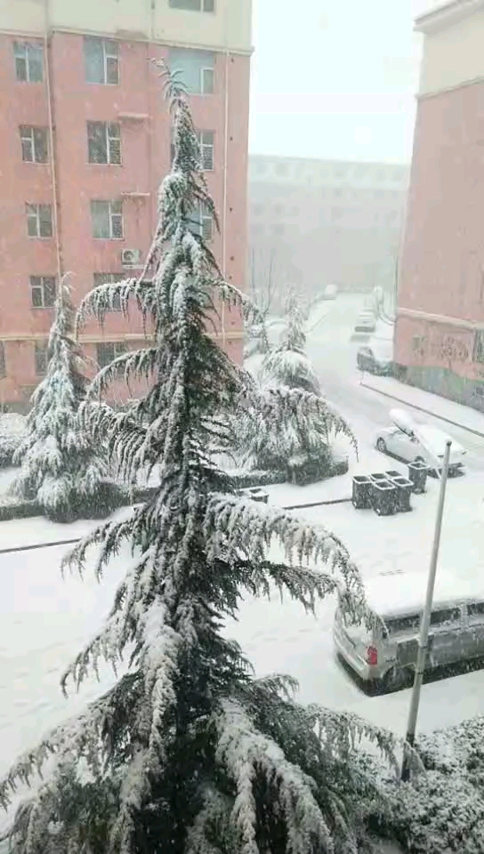 下了大雪，干不成活了