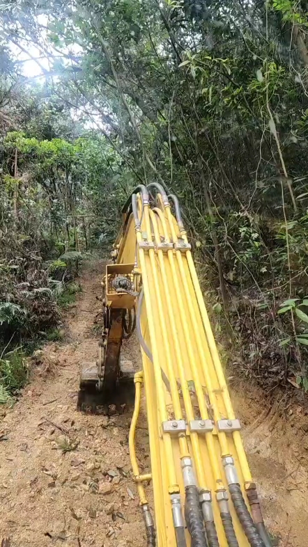 发布了一条动态