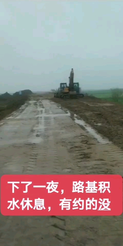 雨后青晨