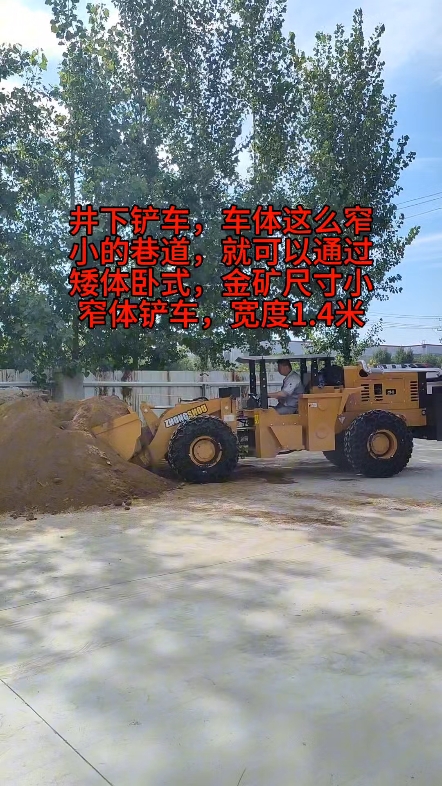 20卧式矿用装载机  井下小铲车