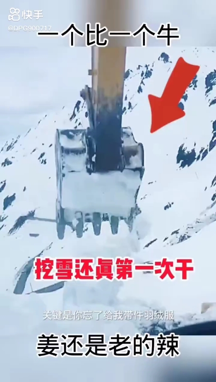 每日发帖