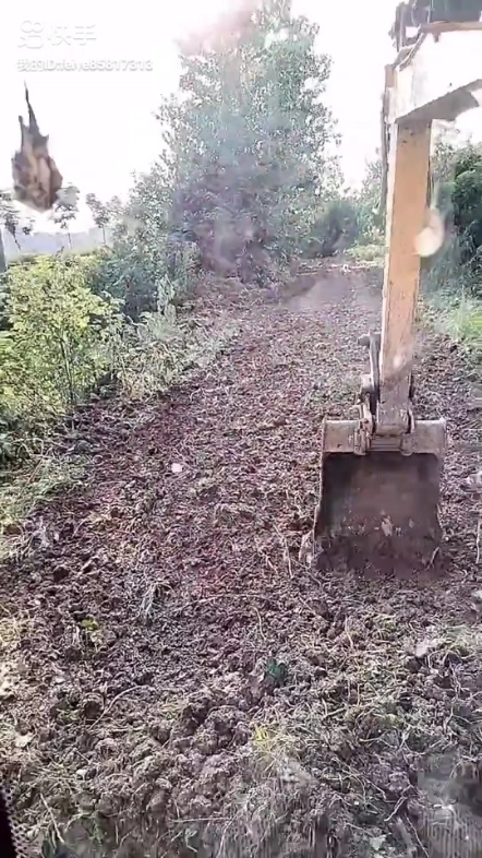 人生的跑道上