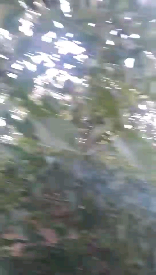 核桃熟了