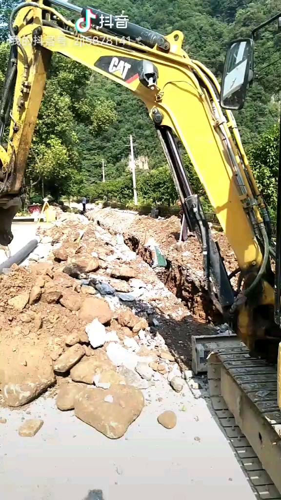 【金猪送福】实干成就梦想，我愿做你最初的跳板……