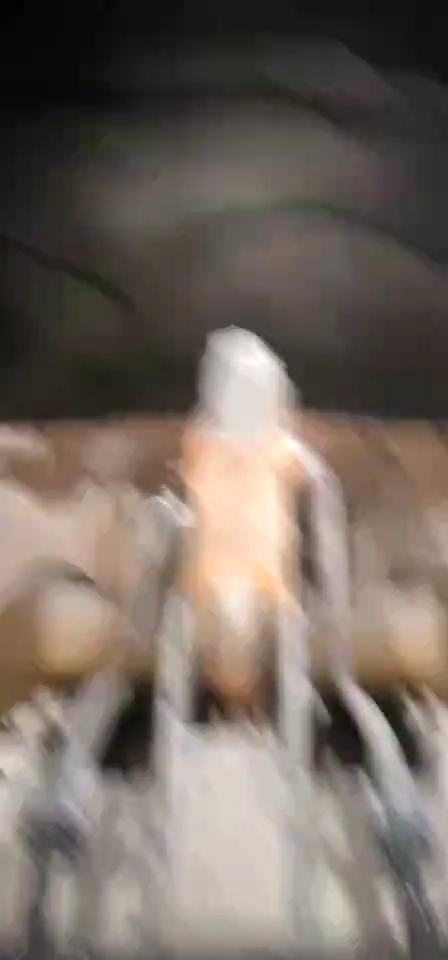 你好我是新甲友
