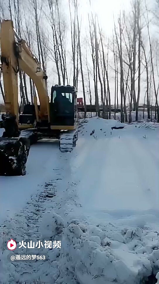 一場大雪全都冬眠了